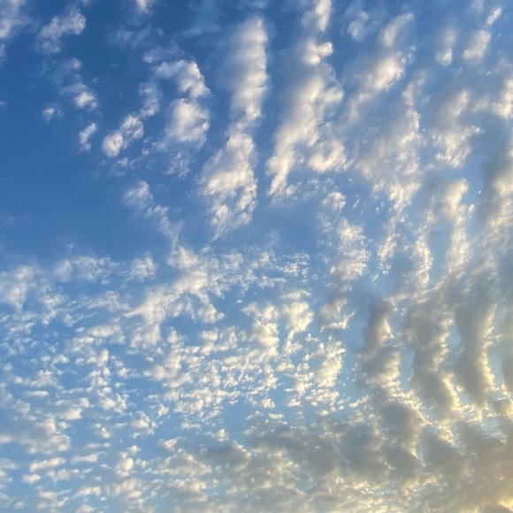 Meet your Posher, Charles - Picture 1 of 1